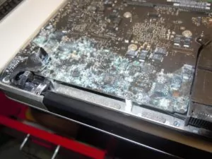 zaliven laptop
